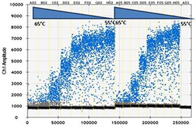 Development of a Digital RT-PCR Method for Absolute Quantification of Bluetongue Virus in Field Samples